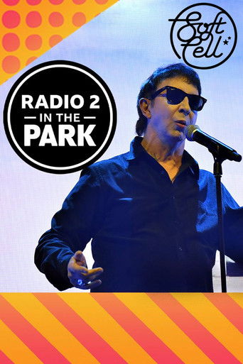 Soft Cell: Radio 2 in the Park poster
