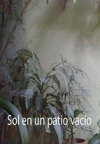 Sol en un patio vacío poster