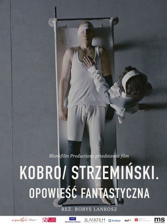 Kobro / Strzemiński. Opowieść fantastyczna poster