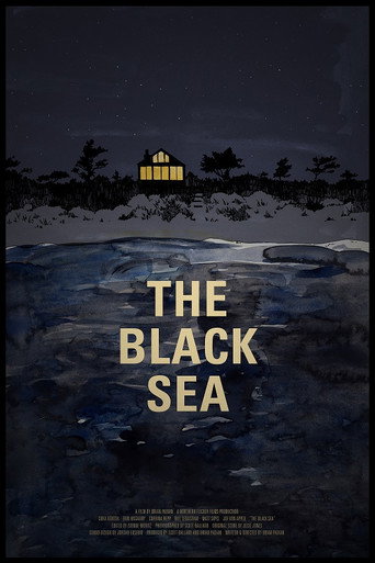 Movie poster for The Black Sea (2015)