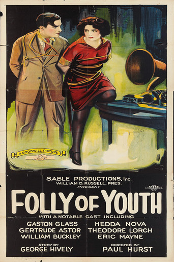 Movie poster for Folly of Youth (1925)