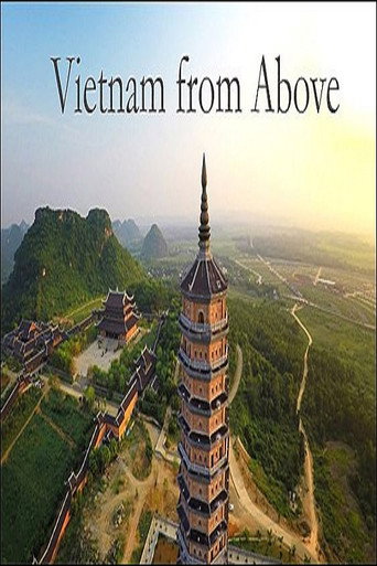 Movie poster for Vietnam from Above (2018)