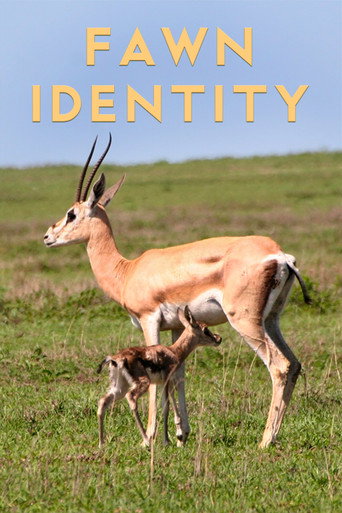 Movie poster for Fawn Identity (2022)