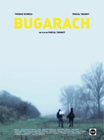 Movie poster for Bugarach (2013)