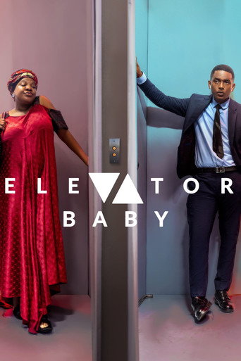 Movie poster for Elevator Baby (2019)