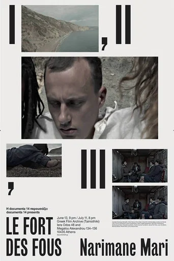 Movie poster for Le fort des fous (2017)