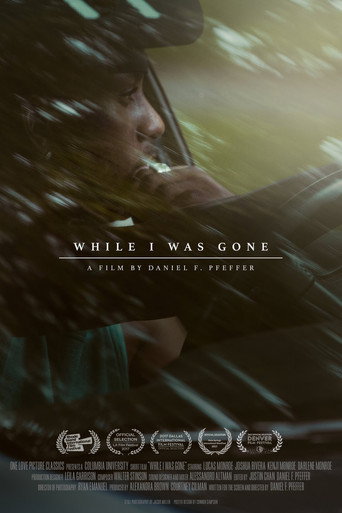 Movie poster for While I Was Gone (2017)