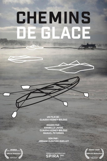 Movie poster for Chemins de glace (2016)