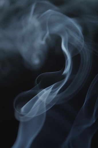 The Cannabis Question poster