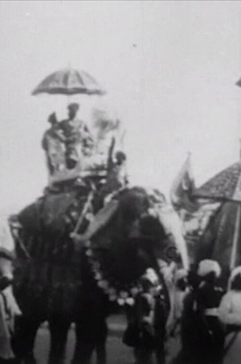 Movie poster for Procession of Elephants with Howdahs - India (1905)