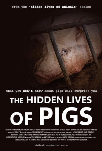 Movie poster for The Hidden Lives of Pigs (2025)