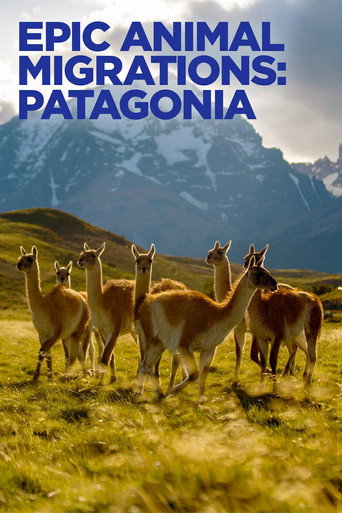 Movie poster for Epic Animal Migrations: Patagonia (2023)