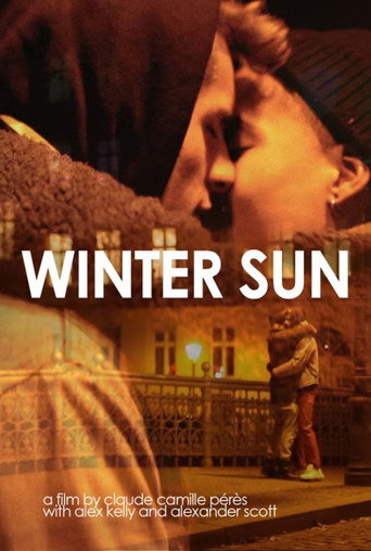 Movie poster for Winter Sun (2017)