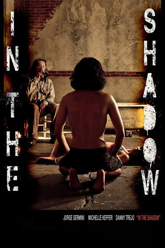 Movie poster for In the Shadow (2011)