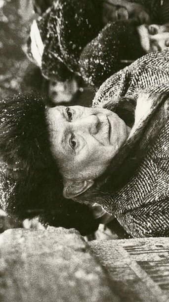 Movie poster for The Jewish Street (1992)