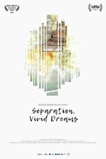 Movie poster for Separation, Vivid Dreams (2018)