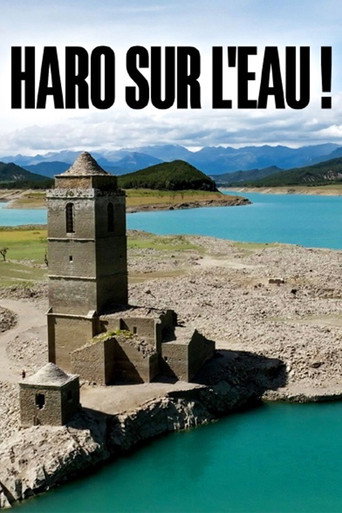 Movie poster for Haro auf das Wasser! Flüsse in Not