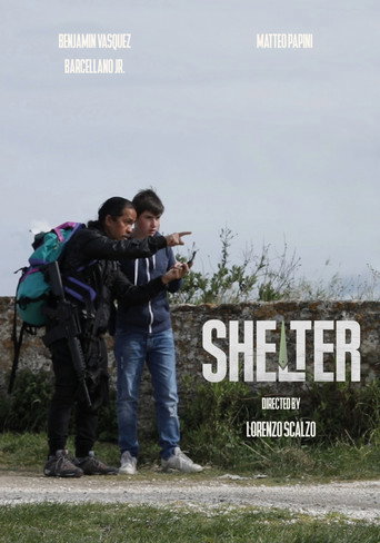 Movie poster for Shelter (2022)