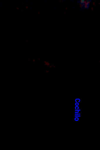 Movie poster for Cochilo (2024)