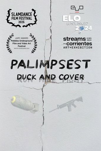 Movie poster for Palimpsest (2025)