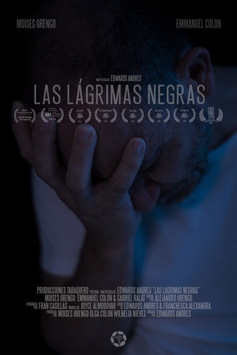 Movie poster for The Obsidian Tears (2014)
