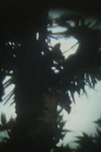 Movie poster for Eizō Shokan 5 (1994)