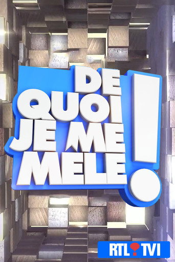 De quoi je me mêle ! poster
