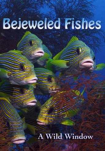 Movie poster for Wild Window: Bejeweled Fishes (2016)