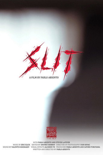 Movie poster for Slit (2016)