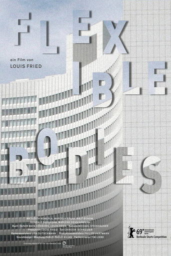 Flexible Bodies poster
