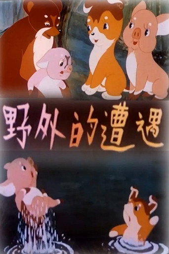 Movie poster for Wild Encounters (1955)