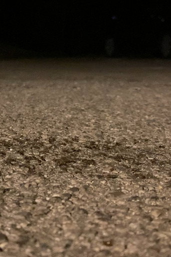 Movie poster for Snails Steadily Stroll the Street 2: Diligent Dirt-Dwellers Dash (Snails Steadily Stroll Lenin Nightcore Remix) (2024)