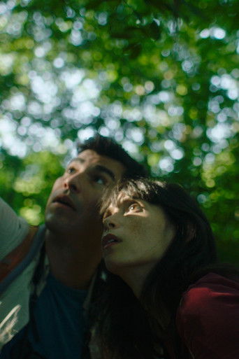 A Bird Came Down poster