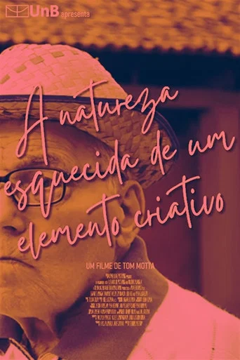Movie poster for A natureza esquecida de um elemento criativo (2015)