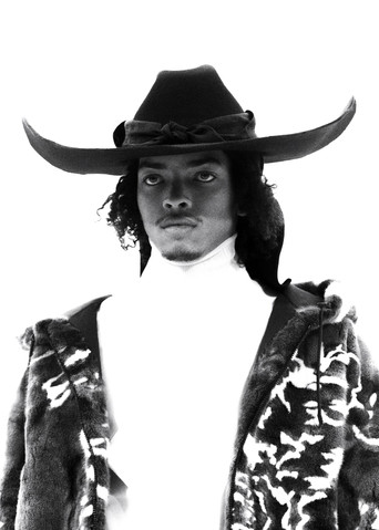 Peculiar Contrast, Perfect Light poster