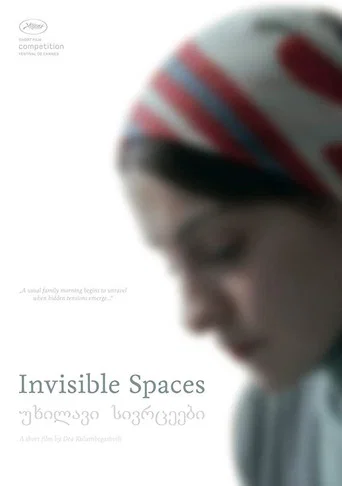Movie poster for Invisible Spaces (2014)