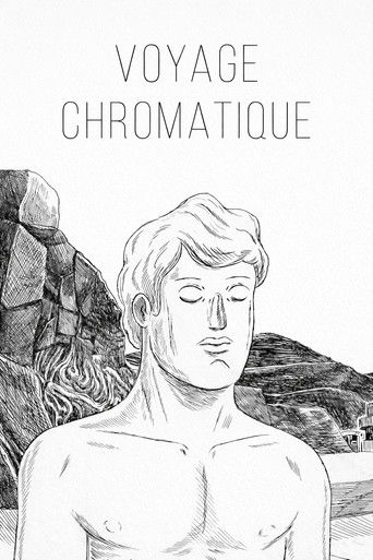 Voyage Chromatique poster