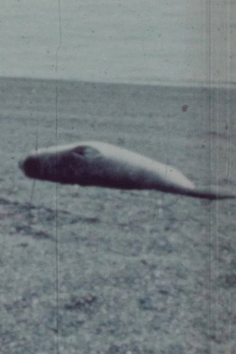Movie poster for Patagonia (1977)
