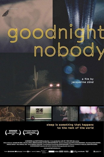 Movie poster for Goodnight Nobody (2010)