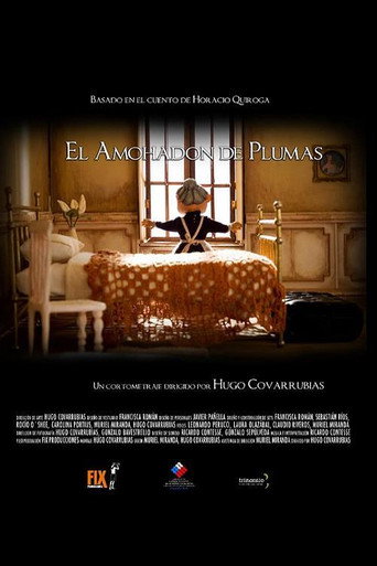 Movie poster for El almohadón de plumas (2007)