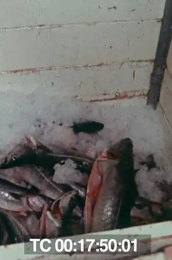 Movie poster for Le poisson commande... (1976)