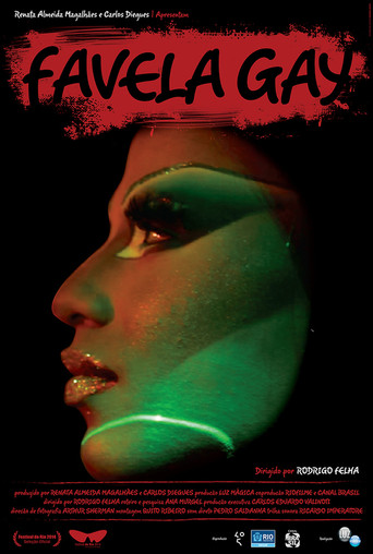 Movie poster for Favela Gay (2014)