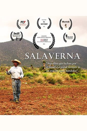 Movie poster for Salaverna (2013)