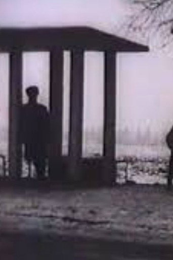 Movie poster for Bus Stop (1995)