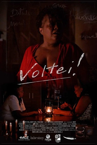 Voltei! poster