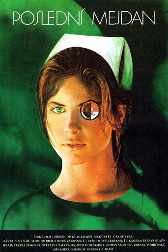 Poslední mejdan poster