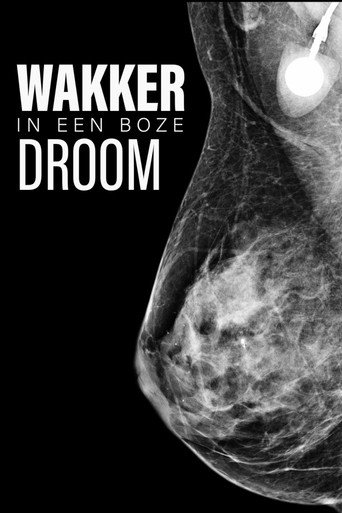Movie poster for Awake in a Bad Dream (2013)