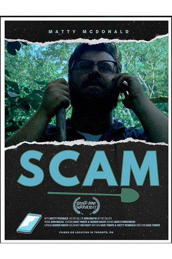 Movie poster for Scam (2025)