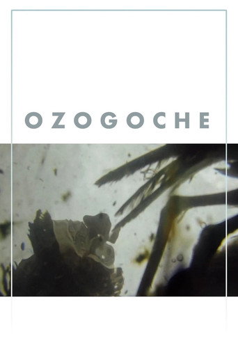Movie poster for Ozogoche (2023)