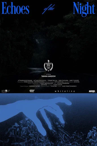 Movie poster for Echoes of the Night (2026)